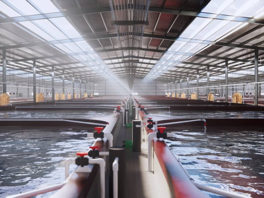 Smart Aquaculture System