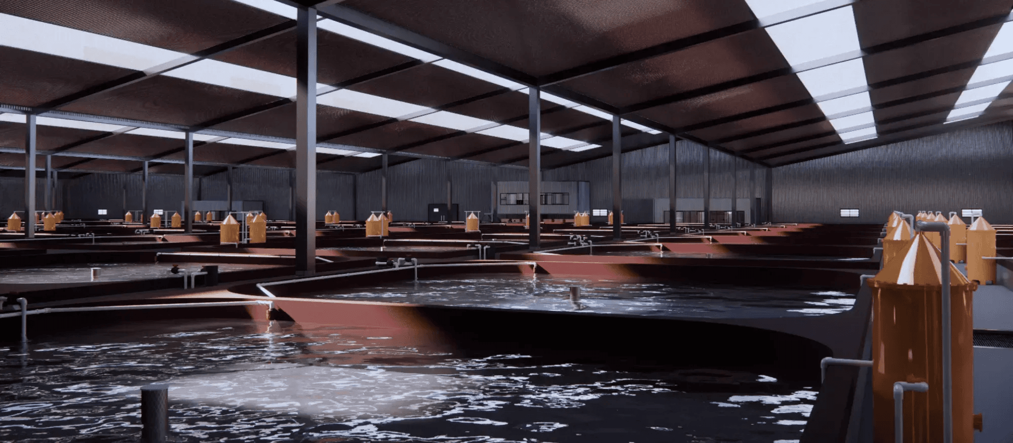 ADQ partners with Aqua Development to launch pilot shrimp farming facility in KEZAD