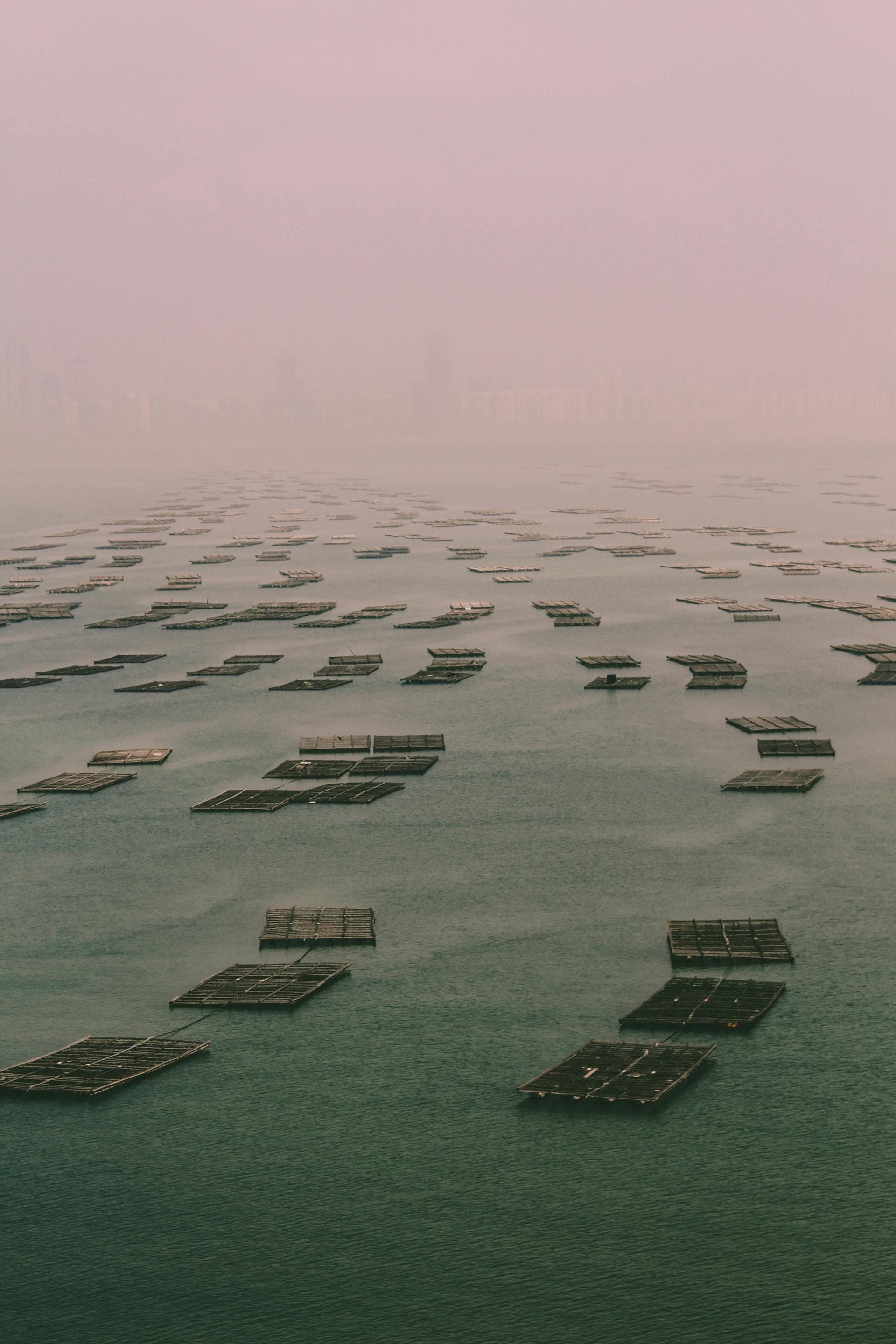 Scalability & Performance